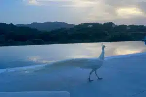 Ano Kampos Swimming Pool